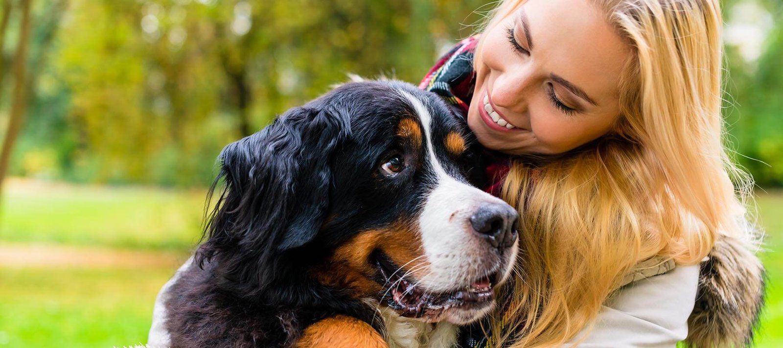 Dog with their owner