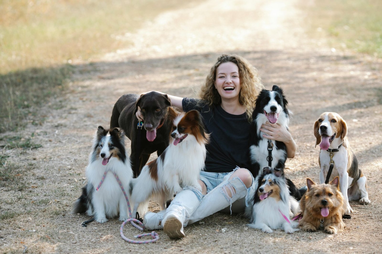 Girl with many dogs PP2CR